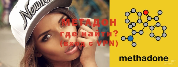 гидра Инта